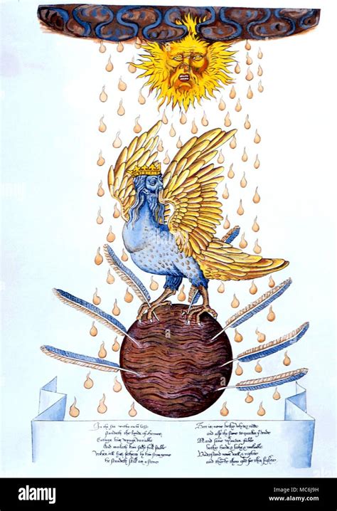 bird of hermes meaning|bird of hermes name.